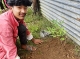 Toplang tree planting adds to worldwide network of Living Chapel gardens